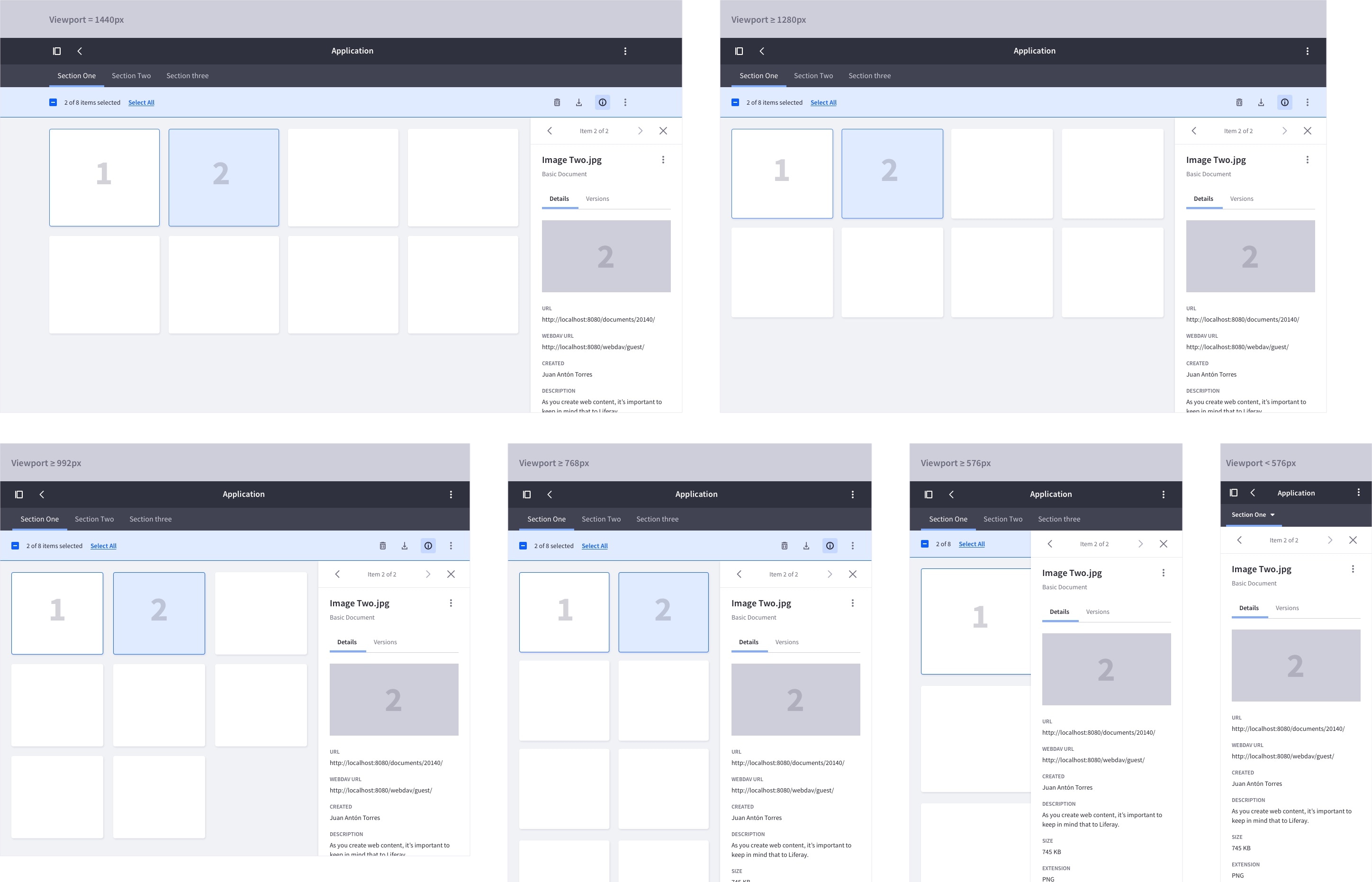 responsive schema of the card view with the panel open